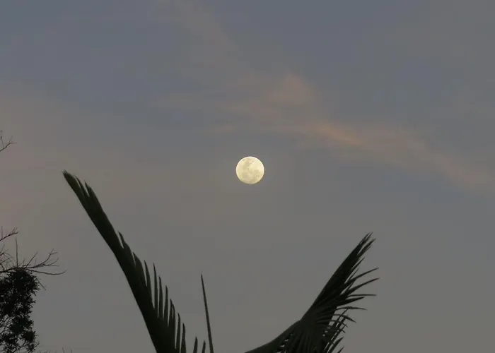 Praia Do Rosa Hostel